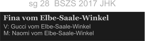 Fina vom Elbe-Saale-Winkel V: Gucci vom Elbe-Saale-Winkel    M: Naomi vom Elbe-Saale-Winkel   sg 28  BSZS 2017 JHK