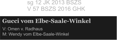 Gucci vom Elbe-Saale-Winkel V: Omen v. Radhaus    M: Wendy vom Elbe-Saale-Winkel    sg 12 JK 2013 BSZS V 57 BSZS 2016 GHK