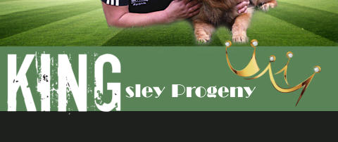 sley Progeny