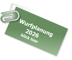 Wurfplanung        2026       klick hier